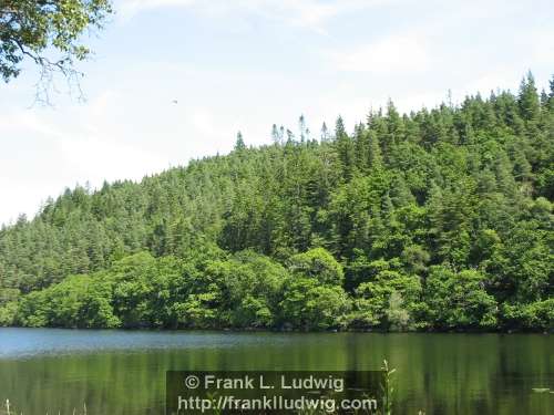 Lough Gill and Slish Wood